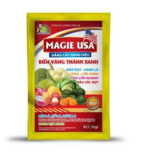 MAGIE USA