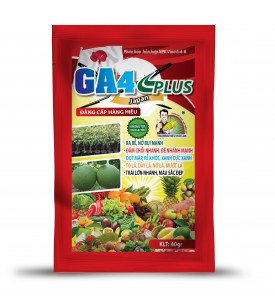 GA4 PLUS JAPAN