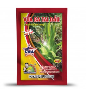 VUA BA TAI ĐẦU CHUYÊN THANH LONG