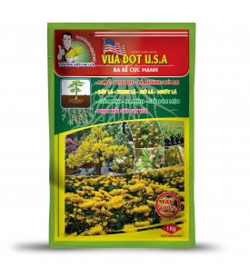 VUA ĐỌT USA