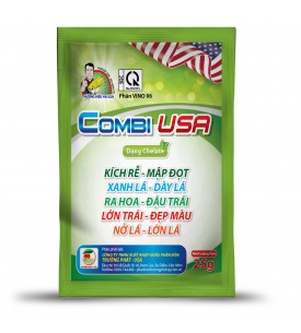 COMBI USA
