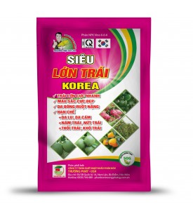 SIÊU LỚN TRÁI KOREA
