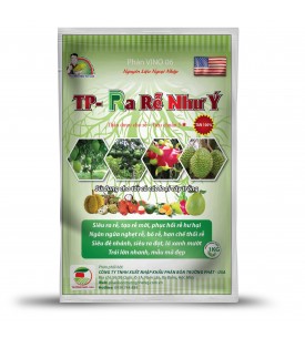 TP_ RA RỄ NHƯ Ý