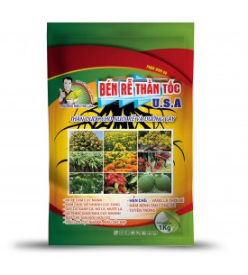 BÉN RỄ THẦN TỐC USA