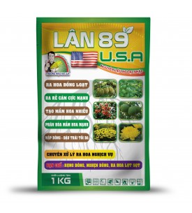 LÂN 89 USA