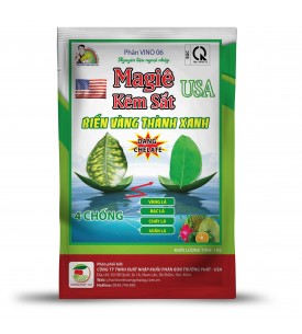 MAGIE KẼM SẮT USA