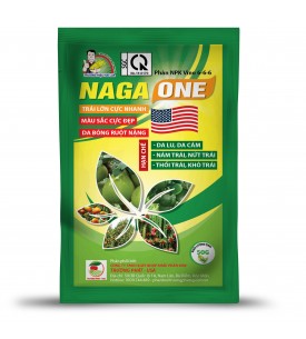 NAGA ONE