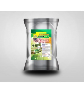 KING ROOTS USA - CHUYÊN SẦU RIÊNG