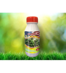CANXI BO GA3 CHUYÊN CÂY DỪA