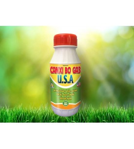CANXI BO GA3 USA