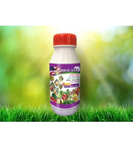ĐẠM CÁ USA