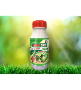 NAGA ONE 500ML