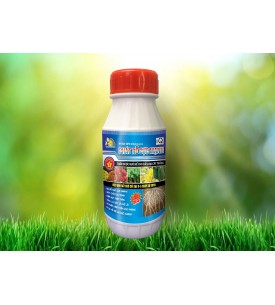PHÁT RỄ CỰC MẠNH