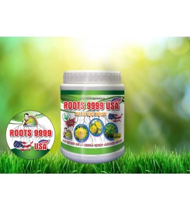 ROOTS 9999 USA