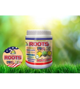 ROOTS USA 10