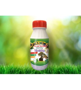 SIÊU LỚN TRÁI CHUYÊN DÙNG CHO TẮC KIỂNG