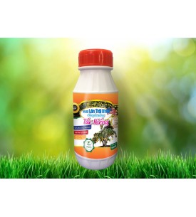 VUA LỚN TRÁI CHUYÊN DÙNG CHO TẮC KIỂNG