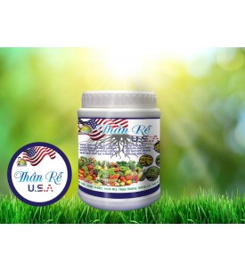 THẦN RỄ USA