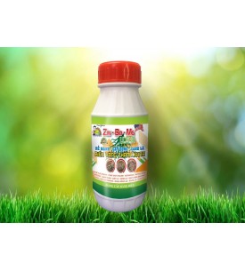ZIN - BO - MG USA