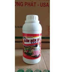 SIÊU BÉN RỄ