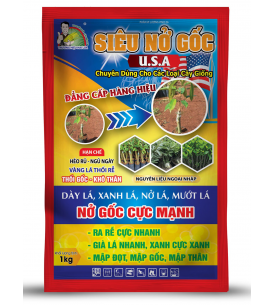 SIÊU NỞ GỐC