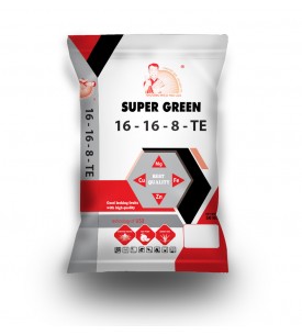 NPK 16 - 16 - 8 + TE