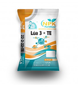 LÚA 3 + TE